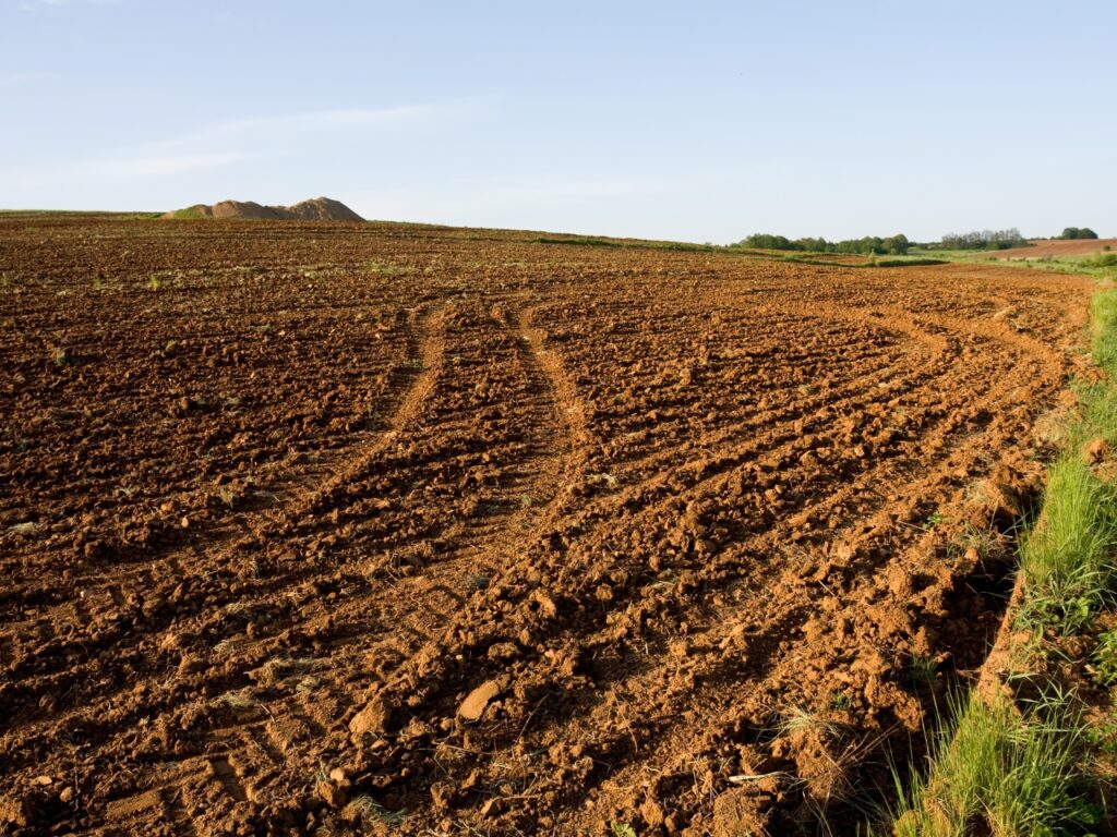 Ziemia rolna - co wpływa na jej cenę?